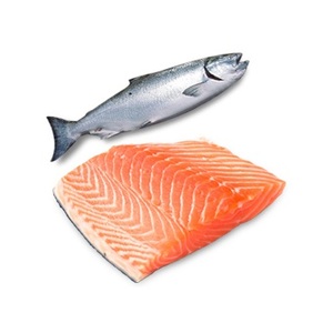 Wholesale Dealer and Supplier Of Fresh / Frozen Salmon <b>Fish</b> Best Quality Best Factory Price Bulk Buy Online - Product Image 5