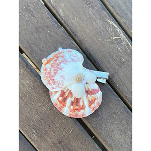 Summer Style Hair Accessories with Seashell <b>Charms</b> for Beachwear, Festivals, <b>Travel</b> Looks, and Tropical Hair Fashion - Product Image 3