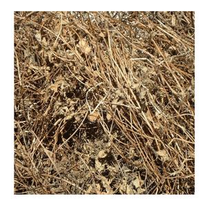 Feuilles de gelée d'herbe noire de haute qualité directement du Vietnam, approvisionnement en vrac pour l'exportation - Product Image 1