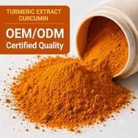 Poudre d'extrait de curcuma naturel en gros, poudre de curcumine, extrait de racine de Curcuma Longa, OEM ODM en vrac pour l'alimentation et les boissons