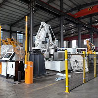 CHANGTENG Nouveau Produit 2026 Robot Palettiseur Automatique pour Cartons