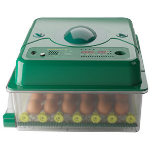 Incubatrice Professionale per Uova di Gallina con Alto Tasso di Schiusa, Sistema di Rotazione Automatica, 36 Uova, ECO PROFI C-36 - Product Image 2