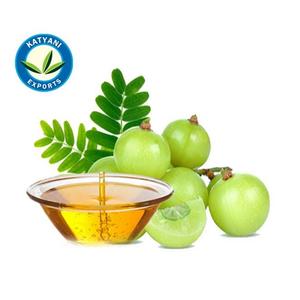 Hot Sales 100% Natural Organic <b>Indian</b> Gooseberry <b>Hair</b> <b>Oil</b> Original Amla <b>Oil</b> for <b>Hair</b> Growth Cold Pressed Amla <b>Oil</b> Bulk Supplier - Product Image 2