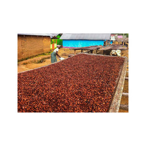 Fèves de cacao ARIBA de qualité supérieure, traitement naturel hollandais, qualité supérieure, origine Afrique du Sud, durée de conservation de 2 ans, emballage personnalisé de 5 kg - Product Image 6