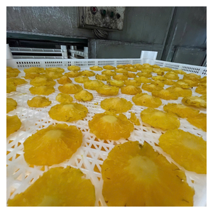 Piña suave seca con sabor dulce natural, textura masticable, empacada para exportación, adecuada para bocadillos, Cajas de Regalo, cadenas minoristas - Product Image 5