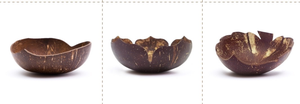 COCONUT BOWL IN VIET NAM - Product Image 6
