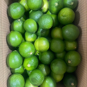 Limones frescos sin semillas de Vietnam tamaño S M L limpio y jugoso ideal para exportación al por mayor y uso de comercio internacional - Product Image 1