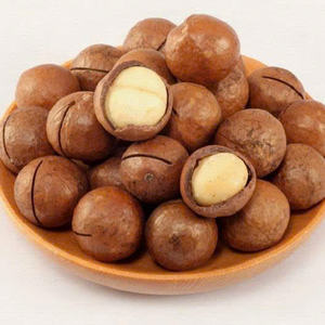 Noix de macadamia entières grillées et salées, fabricant vietnamien, vente en gros OEM - Product Image 4