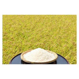 Arroz Japonica 25% Roto Calidad Mayorista, Precio Asequible - Product Image 4