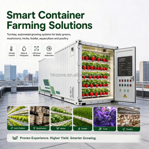 Conteneur de culture hydroponique de fraises, serre, équipement agricole à contrôle climatique intelligent, usage commercial - Product Image 3