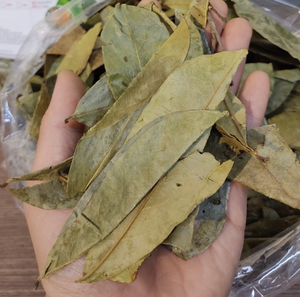 ทุเรียนเทศใบชาใบบัวจากเวียดนามสีน้ำเงิน - Product Image 3