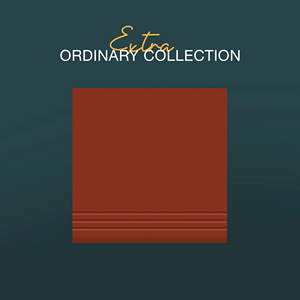 Baldosas de Terracota Vitrificada Modernas de 300x300 mm, Antideslizantes, para Uso en Exteriores en Escuelas, Hospitales, Hoteles, Villas, Granjas y Centros Comerciales - Product Image 2