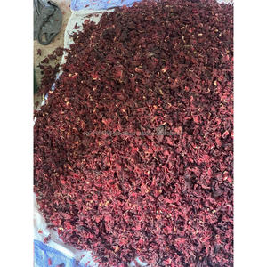 ต้นชบาที่สวยงามพืชประดิษฐ์ไม้พุ่มที่สวยงามสำหรับการเสริมสร้างสวน - Product Image 2
