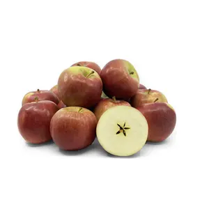 แอปเปิ้ลจักรพรรดิ์สดคุณภาพธรรมชาติแท้ | แอปเปิ้ลแกรนนี่สมิธ | แอปเปิ้ลไวเนสอัพจากฝรั่งเศส ขายออนไลน์จํานวนมาก