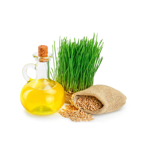 Bulk <b>Wheat</b> Germ Oil Pure Wholesale Cold Pressed for Skin & Hair Care, Private Label Available Manufacturer & Exporter From India - Product Image 1