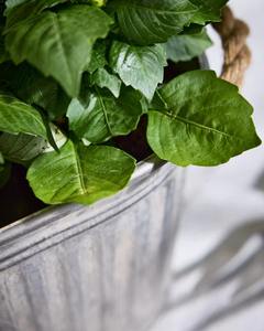 Jardinière en métal avec poignées - Product Image 6