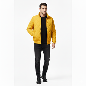 Chaqueta de Invierno Acolchada para Hombre de Alta Calidad al por Mayor, Cuello Alto de Lona, Color Personalizado, Manga Larga - Product Image 1