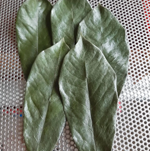 Feuilles de corossol séchées en vrac, provenance d'usine au Vietnam, Annona Muricata, feuilles brutes - Product Image 1