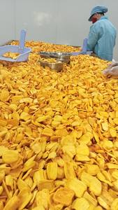 Jackfruit séché en gros du Vietnam, collation naturelle et sucrée, approvisionnement en gros de jackfruit séché avec un goût de qualité pour les acheteurs mondiaux - Product Image 6