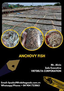 Meilleure vente de poisson d'anchois séché 2022 Délicieux aliment vietnamien Poisson d'anchois séché Vacances - Product Image 3