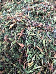 ใบมะละกอที่มีความต้องการสูง-กระบวนการที่เป็นมิตรต่อสิ่งแวดล้อม - Product Image 3