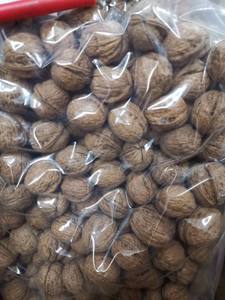 Noix de qualité supérieure, stock frais, vente en gros, approvisionnement en vrac pour les professionnels de l'industrie alimentaire, à vendre - Product Image 1
