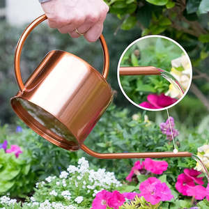 Arrosoir en métal pour jardinage avec design de versement fluide, poignée ergonomique, construction robuste, capacité de 8 L, écologique pour la santé des plantes - Product Image 5