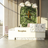 Présentation du mobilier de salon de beauté biophilique : comptoir d'accueil en terrazzo, lit de soin mauve et canapé circulaire vert pour salon moderne