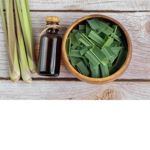 Aceite esencial de limoncillo natural puro 100% cultivado salvaje en la India, precio al por mayor en botella, lata y embalaje de tambor - Product Image 4