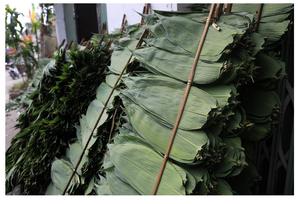 Qualité en gros de feuilles de bambou du fournisseur VietNam avec le prix concurrentiel sur le marché - Product Image 2