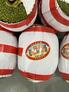 พร้อมส่ง ขนุนแช่แข็งคุณภาพดีที่สุด/ ขนุนเวียดนาม คุณโซฟี - Product Image 4