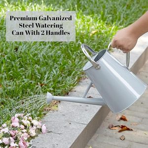 Regaderas de Metal Rústicas 'Rega tu Mundo', Hermosos Accesorios de Jardín del Arte del Riego de Macetas y Jardineras - Product Image 5