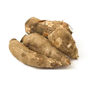 Best Price Bulk Sale Top Quality Fresh Yuca Root (Cassava) / Fresh Vegetables Tapioca Cassava wholesale sale From German