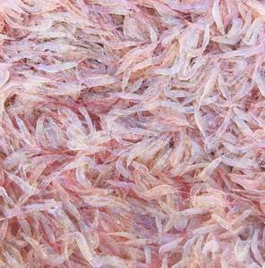 กุ้งแห้งแช่แข็ง พรีเมียม สดใหม่ จับจากธรรมชาติ เวียดนาม ส่งออก อาหารทะเล บรรจุภัณฑ์สุญญากาศ BQF อายุการเก็บรักษา 24 เดือน ราคาแข่งขัน - Product Image 5