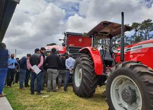 ทำความสะอาดรถแทรกเตอร์แมสซีย์เฟอร์กูสันรถแทรกเตอร์ขนาดกะทัดรัด MF 290, 260, 360, 375, 185 - Product Image 4