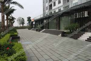 Bloques de piedra caliza natural vietnamita verde musgo flameado moderno azulejos de alta calidad económica para uso exterior - Product Image 4