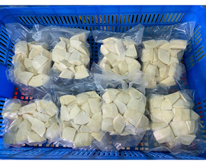 BEST SELLER 2025 // LARGE QUANTITY FROZEN BREADFRUIT (SAKE) WITH HIGH NUTRITION READY TO EXPORT FROM TOP VIETNAMESE SUPPLIER - Product Image 6