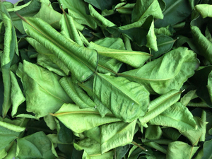 Proceso ad-hoc de hojas de limón crudas totalmente naturales para refrescar y revitalizar - Product Image 4