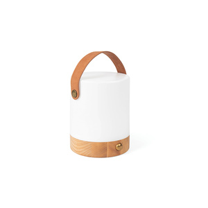 Narni personalizzabile riciclato ABS torcia promozionale per la personalizzazione - Product Image 1