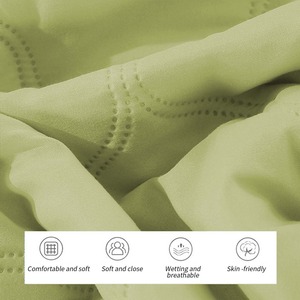 Proveedor directo de fábrica de alta calidad 100% poliéster logotipo personalizado Estilo Vintage edredones para todas las estaciones superventas tamaño personalizado Premium - Product Image 5