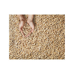 Fournisseur en gros de palettes en bois de haute qualité à vendre/Palette en bois neuve Euro EPAL à vendre à un prix très bas - Product Image 4