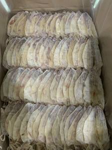 Calmar séché de haute qualité-fruits de mer traditionnels du Vietnam-haute qualité prix raisonnable vente en gros // DC - Product Image 6