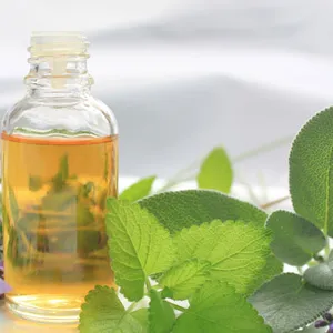 Oregano minyak esensial untuk Aromaterapi, penyedap makanan, industri aditif Pangan & tanpa bahan kimia berbahaya & pengawet