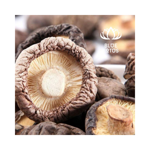 เห็ดหอมอบแห้งจากเวียดนามเกรดดีที่สุดสำหรับการทำอาหาร - Product Image 1