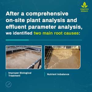 การรักษาทางชีวภาพของ effluent - Product Image 4
