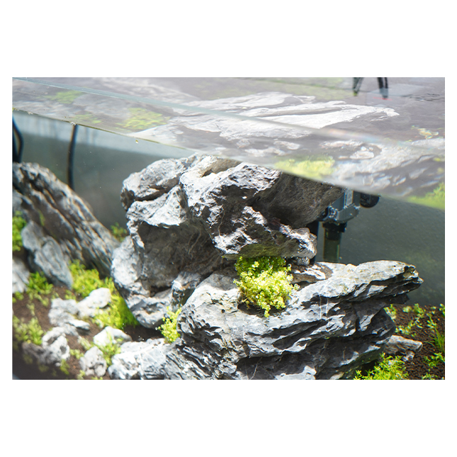 BARREL 10W 11000K 16000K Full Spectrum Aquarium LED Light 100-240V