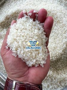 #1 orgánico vietnamita DT8 fragante Japonica arroz blanco corto seco 2024 cultivo supermercado minorista restaurante distribuidor grande - Product Image 3