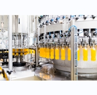Complete fruitsap productielijn
