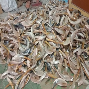ขนแกะขนาดเล็กขัดมันเทคนิครูปสัตว์สไตล์ทะเล - Product Image 3
