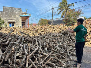 Juguete masticable duradero de cáñamo ecológico, ayuda a aliviar el aburrimiento y la ansiedad, juguete natural seguro para perros de fábrica vietnamita - Product Image 6